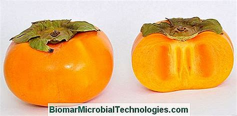 Kaki (Diospyros Persimmon) Of Persimmon Van Japan, Een Vrucht Die Rijk Is Aan Antioxidanten